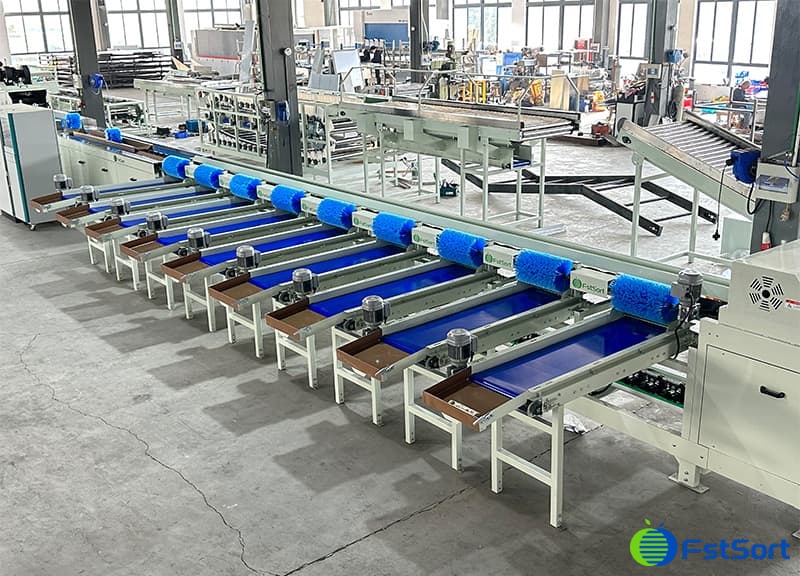 images/1750058207889weight sorting for persimmon.jpg